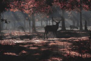Gibier d'Automne